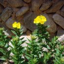 금당실전통마을 이미지