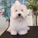 에르멍스 이미지