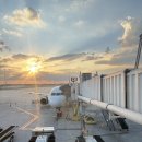 킹덤PC방 | [2026 미국-3] 올랜도 디즈니월드 (스완리조트, 애니멀킹덤, 매직킹덤)