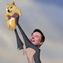 도지(DOGE) 이미지