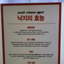 도도한낙지