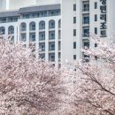 스튜디오하동