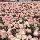 THE채움공인중개사사무소 이미지