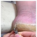 스파 하루
