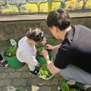 인지어린이집측면길 | 부모님과 함께하는 생태교육 왜 필요한가?