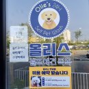 올리스 아시아드점 이미지