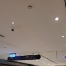 전망조형물 | [대만/타이베이] 타이베이 101빌딩에서 즐기는 커피한잔. 전망 좋은 심플커피.