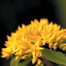 기린초등학교 이미지