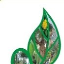 2021년 제14기 산림교육전문과정(숲해설가) 교육생 모집 공고 이미지