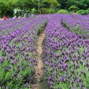 느티나무농원 이미지