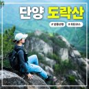 하룻밤 궁궐터 | 단양 도락산 최단 내궁기 등산코스, 최단이라고 얕봤다가 큰 코 다친 썰