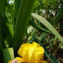 향촌농장 이미지