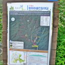 원주굽이길 17코스 동화마을진달래길 이미지
