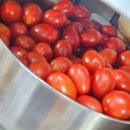 영월우체국 | 강원도 영월 가람농원 대추방울토마토 후기