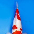 광릉금리원 이미지