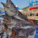 아지바라 | 거제외포효진수산의 건대구구입후기