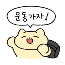 크로스핏 V8 이미지