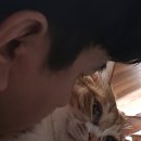 헤즈업당구장