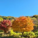 고향떡방아간 네이버블로그