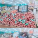 고구마PC 이미지