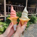 조림목장 이미지