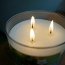 Body picnic 이미지