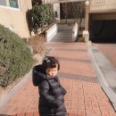 사직2동-19 | 19년1월 다섯번째주 부산적응기