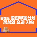 올해도 종합부동산세 정상화 효과 지속 이미지