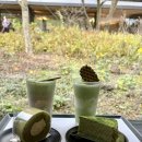 상모리-16 | '25 제주여행 2일차: 오설록 제주, 올바른면옥 서귀포직영점, 만복흑돼지 제주산방산점, 송악산둘레길...
