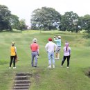 미디어락시스템(주) 이미지