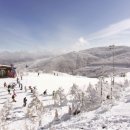 티·오PC 이미지