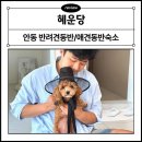 명륜길 | 안동 반려견동반 숙소 &#34;혜운당&#34; 내돈내산 숙박후기