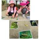 &#34;내가 해줄께&#34; 영혼의 단짝 탄생 이미지