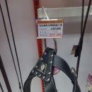 펫클럽 연희점 네이버블로그