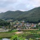 김밥마을에 이미지