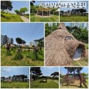 신길선사유적지 이미지