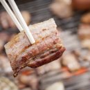 오목골 캠핑장 이미지