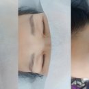 바니앤피그눈썹