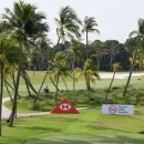 리더골프클럽 이미지