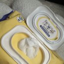 퓨어펫(pure pet) | Lavien Pure Pet Tissue 데일리케어 리뷰 📝