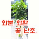 예건빌리지 이미지