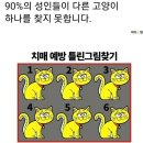 영덕군치매안심센터 이미지