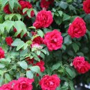 오늘의 국내ㆍ외 소식 5월20일 월요일 이미지