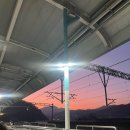 25.1월 일상(1)