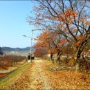 청도신화랑에코트레일 이미지