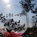 김천떡뽀끼 | [[김천떡뽀끼양산점]]어수선마켓 후기