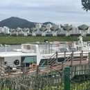 하단동1195 이미지