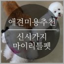 마이리틀펫 이미지