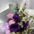 파크 블러썸 이미지