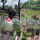 두발자유 - 서구 | 인도네시아 발리 우붓 가볼 만한 곳 다양한 체험이 가능한 발리 동물원 방문 후기